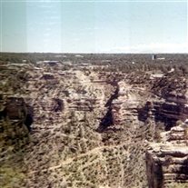 Click for large image