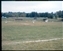 1976-0153-01.jpg