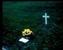 1976-0175-01.jpg
