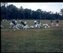1976-0184-01.jpg
