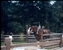 1976-0226-01.jpg