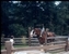 1976-0227-01.jpg