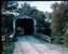 1976-0354-01.jpg