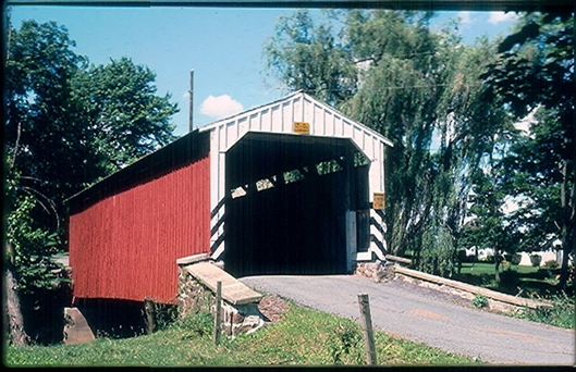 Click for large image