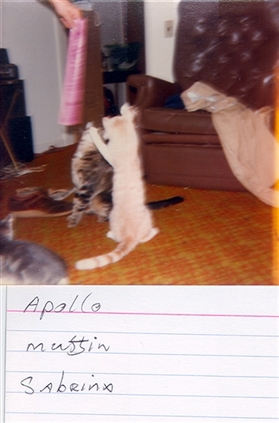 Click for large image