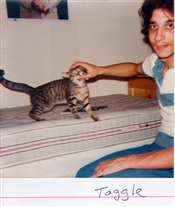 Click for large image