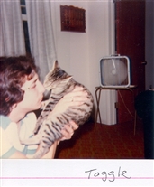 Click for large image