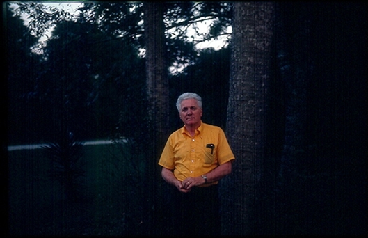 Click for large image