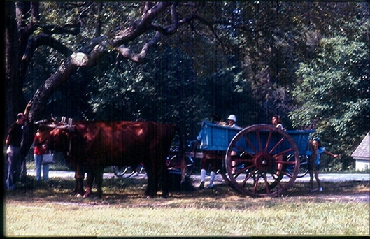 Click for large image