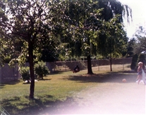 Click for large image