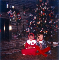 Click for large image