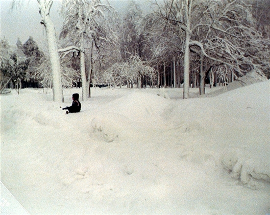 Click for large image