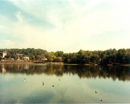 Click for large image