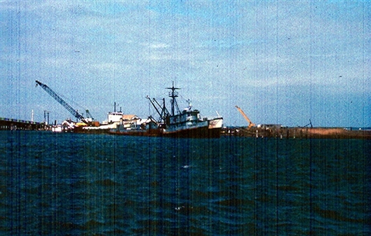 Click for large image