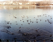 Click for large image