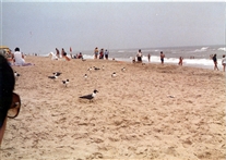 Click for large image