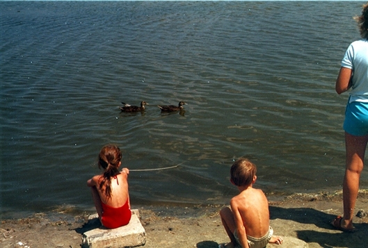 Click for large image