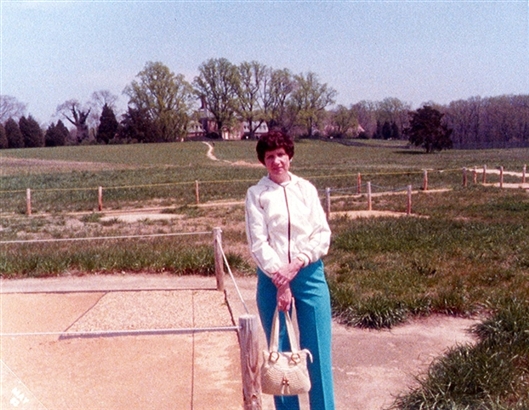 Click for large image