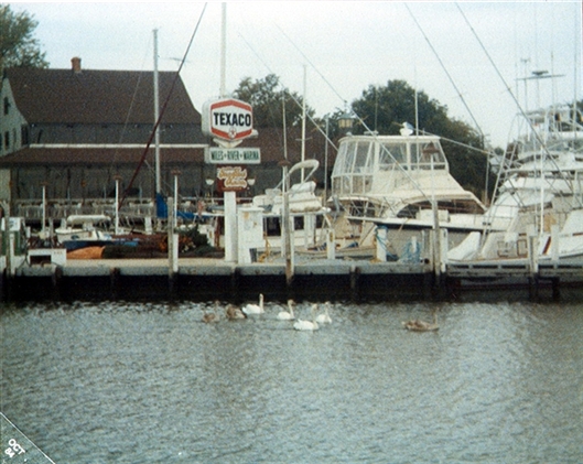 Click for large image