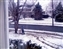 1984-0117-01.jpg