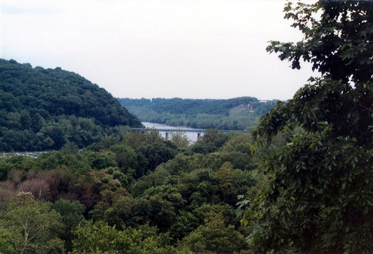 Click for large image