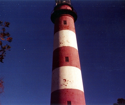 Click for large image