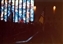 1984-0340-01.jpg