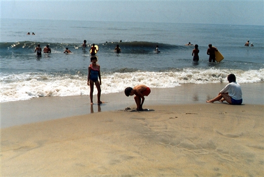 Click for large image