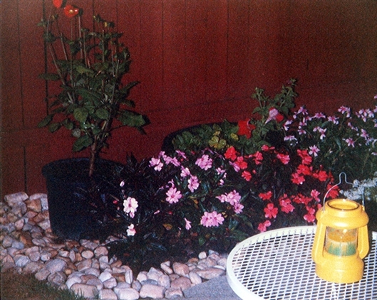 Click for large image