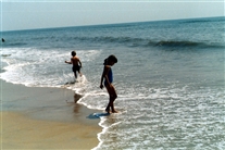 Click for large image