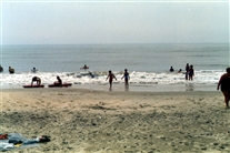 Click for large image