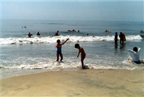 Click for large image