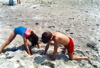 Click for large image