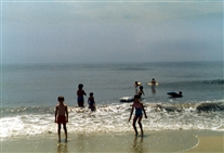 Click for large image