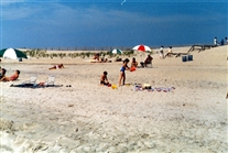 Click for large image