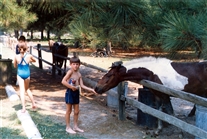 Click for large image