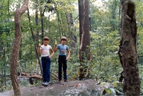 Click for large image