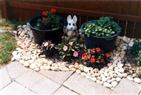 Click for large image