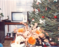 Click for large image