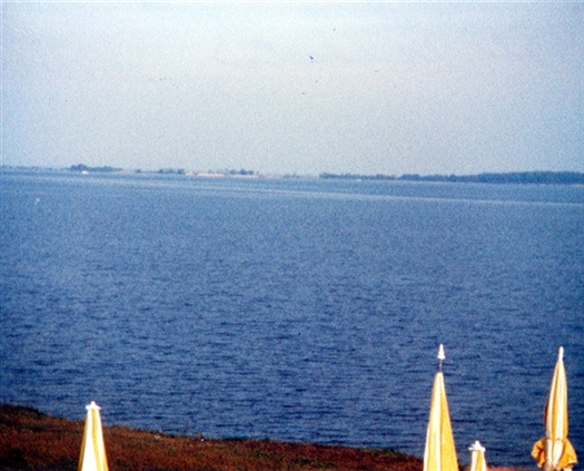 Click for large image