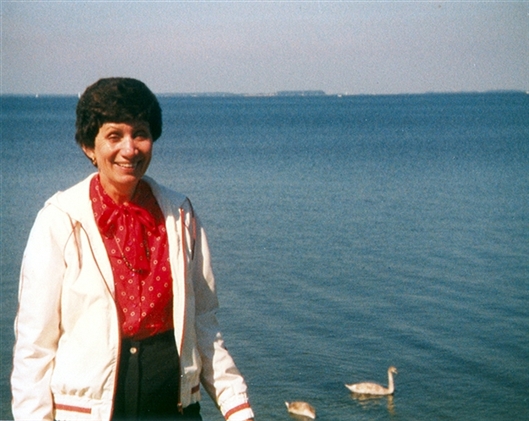 Click for large image