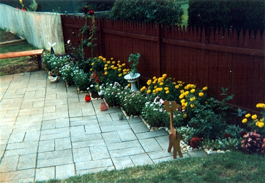 Click for large image