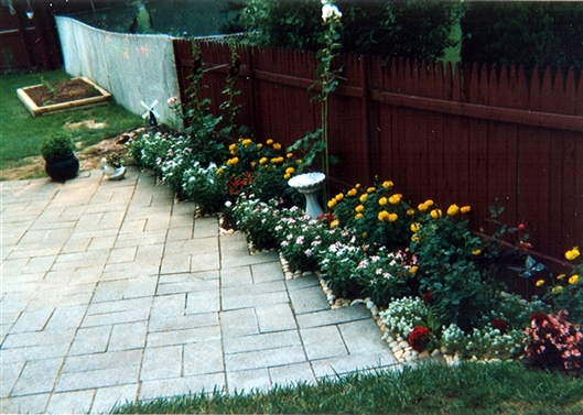 Click for large image