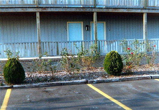 Click for large image