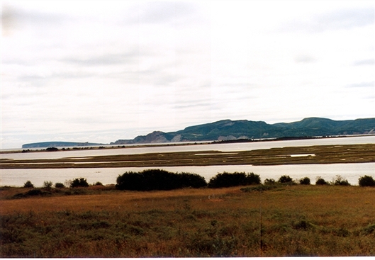 Click for large image