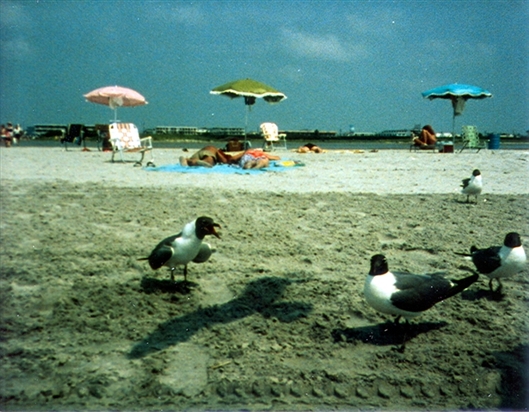 Click for large image