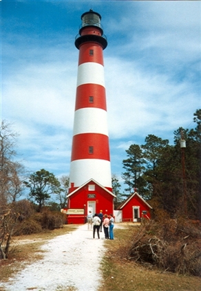 Click for large image