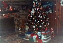 Click for large image