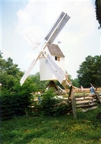 Click for large image