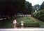 1987-0394-01.jpg